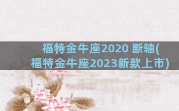 福特金牛座2020 断轴(福特金牛座2023新款上市)